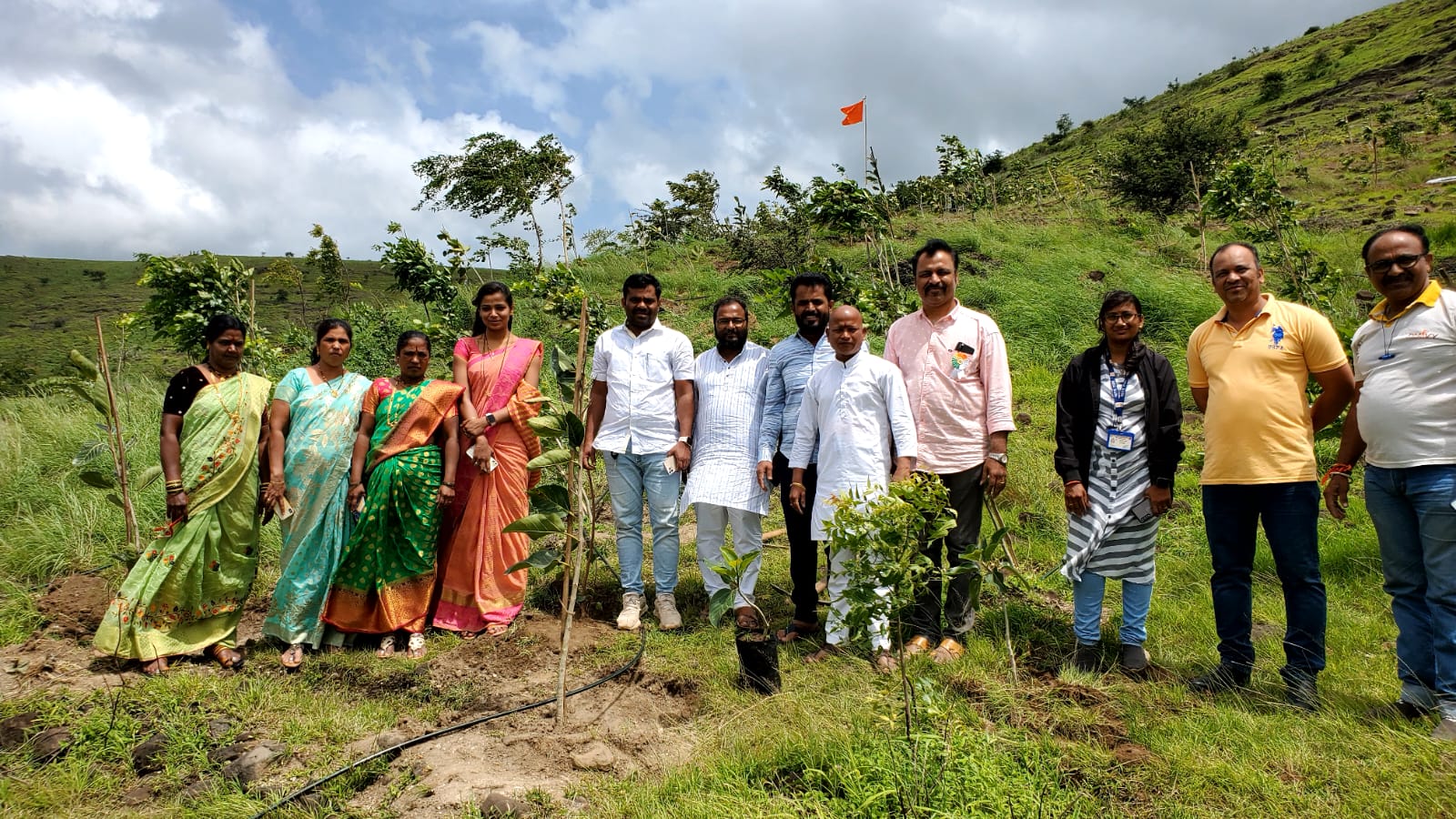 Tree_plantation